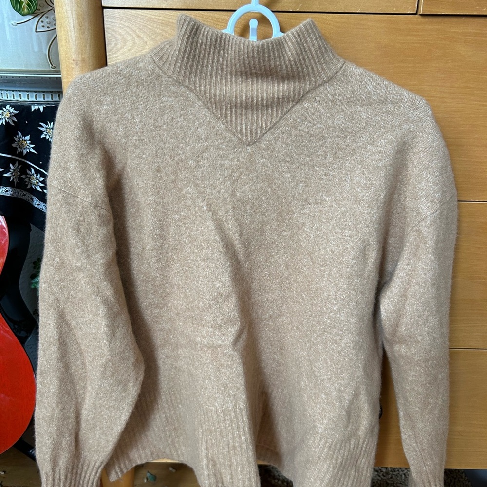 Everlane Women's Tan Turtleneck Sweater